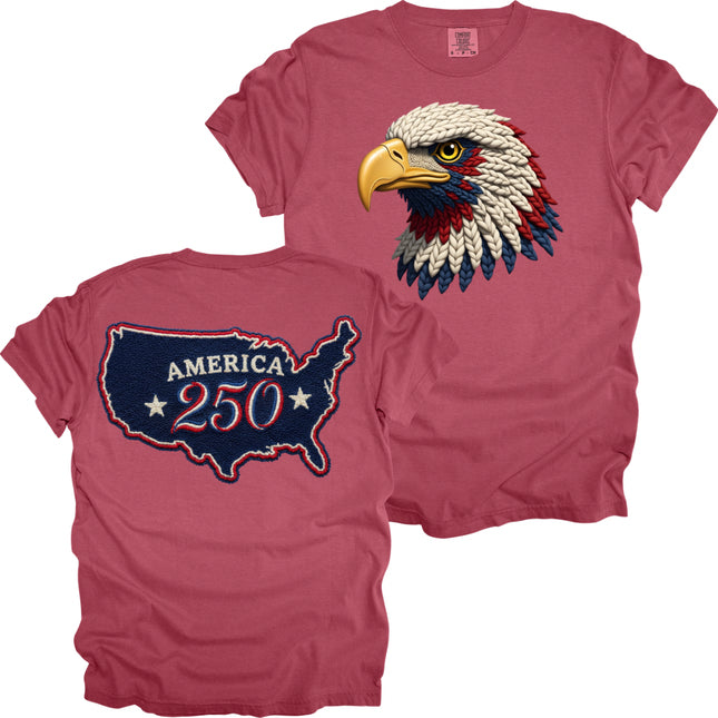 Eagle and America Celebration - Comfort Colors T-Shirt