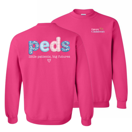 Carilion Children's Peds Little Patients Big Futures - Gildan Sweatshirt