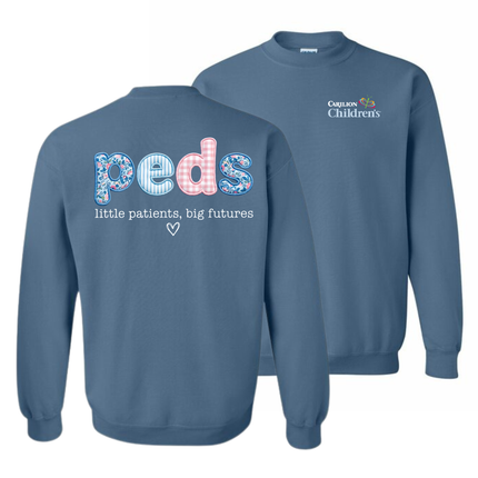 Carilion Children's Peds Little Patients Big Futures - Gildan Sweatshirt