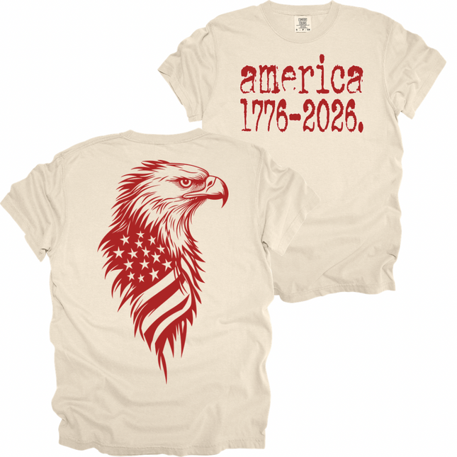 Two sided America and Eagle print - Comfort Colors T-Shirt