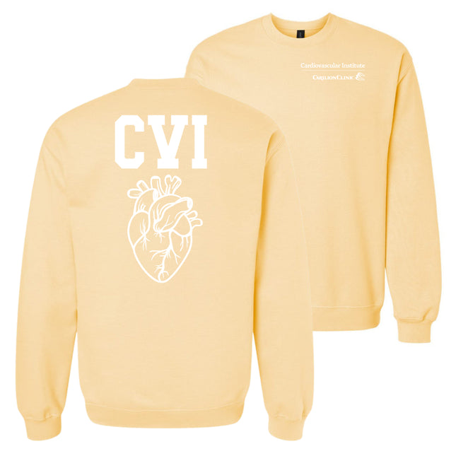 Carilion Clinic CVI Apparel - Gildan