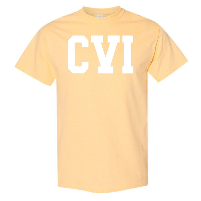 CVI Apparel - Gildan