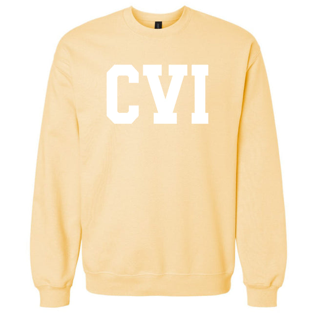 CVI Apparel - Gildan