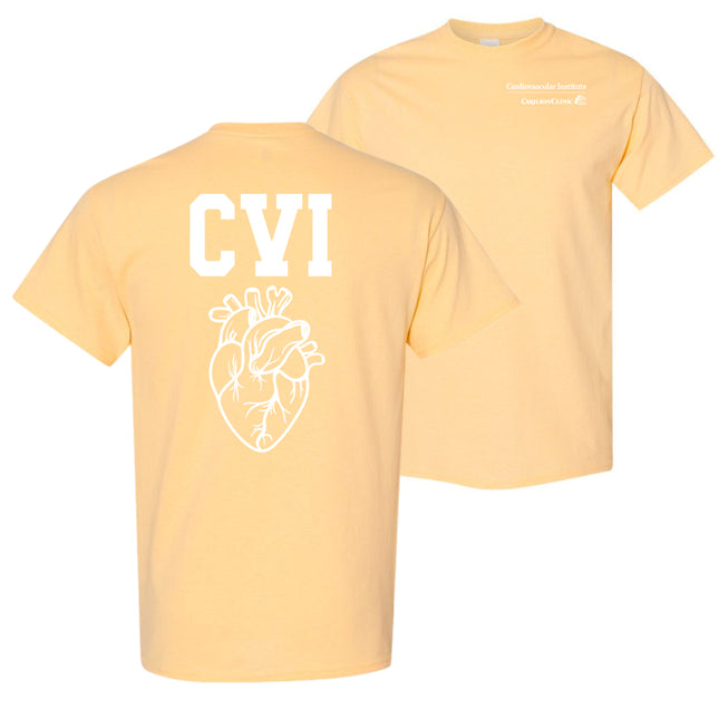 Carilion Clinic CVI Apparel - Gildan